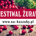 IX Festiwal Żurawiny - zapowiedz 