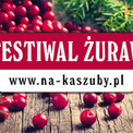 IX Festiwal Żurawiny - zapowiedz
