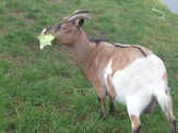 Domek na Kaszubach Pan Tadeusz