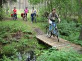 Fahrradstrecke von Kościerzyna ( Berent ) nach Wdzydze Kiszewskie - 2